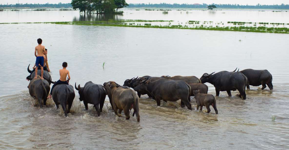 Nha Rong Port: Private Mekong Delta Tour - Logistics