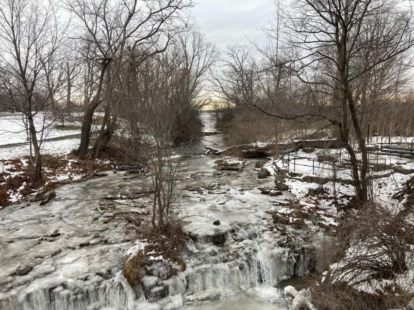 Niagara Falls: Boat, Cave and Trolley Tickets With Guide - Customer Reviews and Recommendations