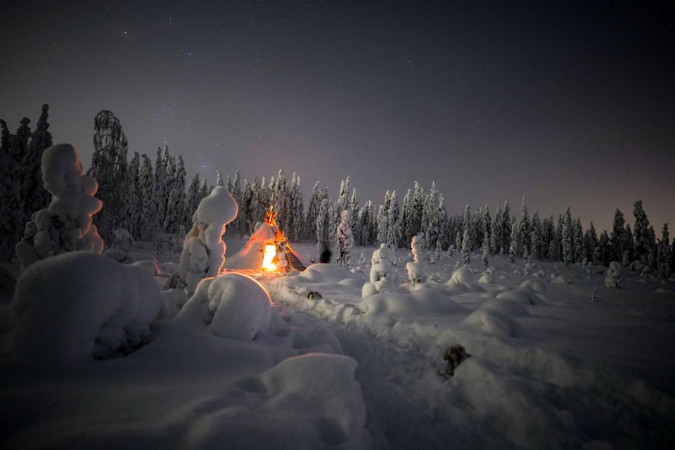Night Snowshoeing Adventure Under the Northern Lights - Reserve Now & Pay Later