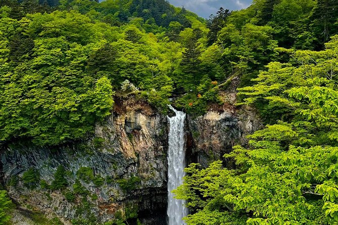 Nikko City Private Sightseeing Tour With English Speaking Driver - Terms & Conditions