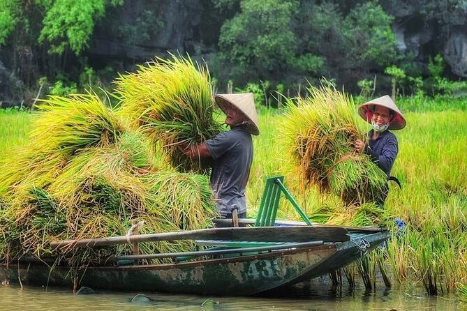 Ninh Binh Full Day Tour:Hoa Lu Tam Coc: Cycling,Boat,Buffet Lunch,Limousine Bus - Activities and Itinerary
