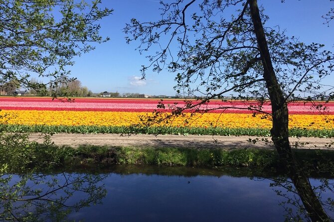 Noord Hollands Private Tulip Tour - Booking and Contact Details