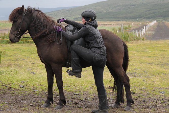 North Iceland: Horseback Riding Tour  - Akureyri - Safety Precautions