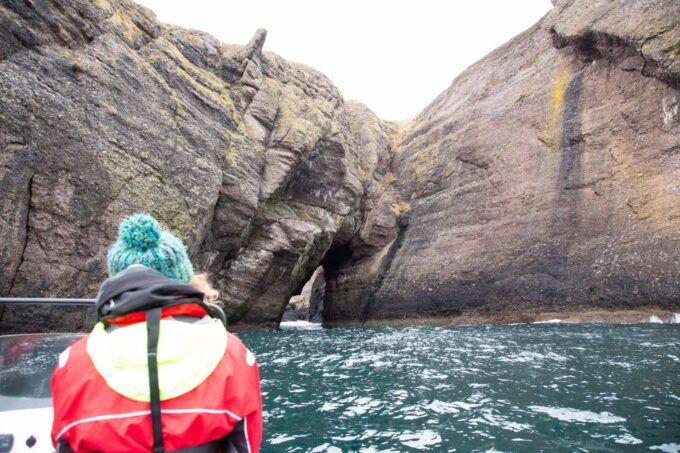 North Scotland Islands Rib Tour - Wildlife Spotting