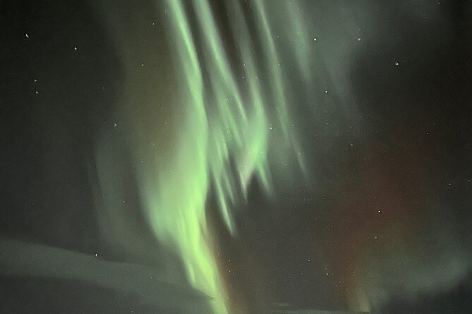 Northern Light Hunt With Minibus to Abisko 7:30 Pm - Guide Qualities