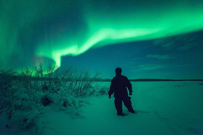 Northern Light Safari by Snowmobiles From Levi - Witness Bright Northern Lights