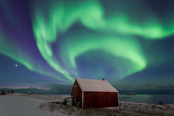 Northern Lights Hunt Including Snacks on Campfire From Rovaniemi - Viator Help Center for Assistance