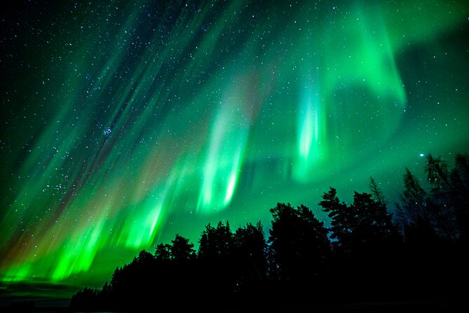 Northern Lights Hunting Adventure in Lapland - Traveler Assistance