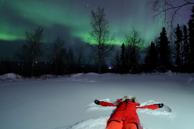 Northern Lights Photo Shoot With a Pro Photographer  - Fairbanks - Pricing and Tour Information