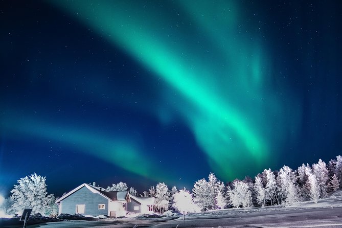 Northern Lights Picnic by Car From Rovaniemi - Last Words