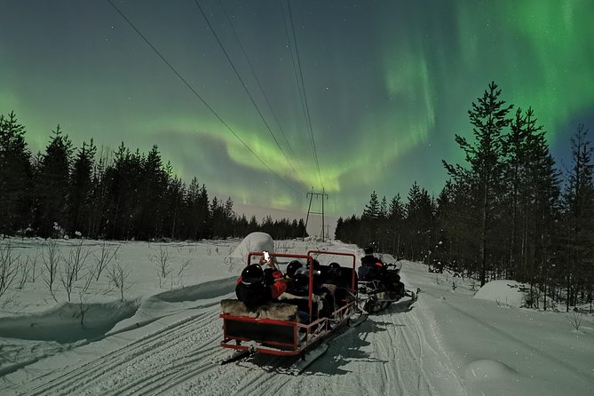 Northern Lights Sledge Ride - Top Tips for Participants