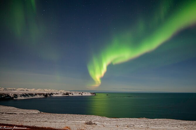 Northern Lights Tour From Husavik - Pricing and Operator