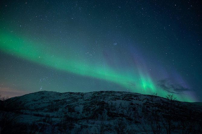 Northern Lights Tour From Kiruna to Abisko With Dinner - Customer Satisfaction