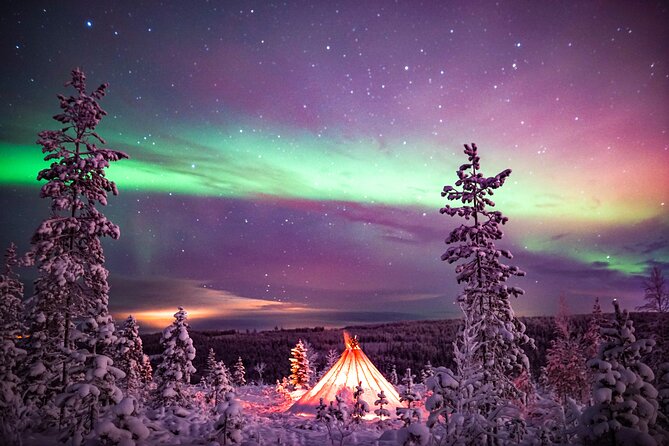 Northern Lights Wilderness Small-Group Tour From Rovaniemi - Additional Information
