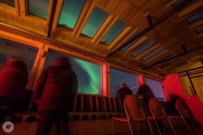 Northern Lights Winter Nights Adventure - Dog Sledding and Lounge Visit