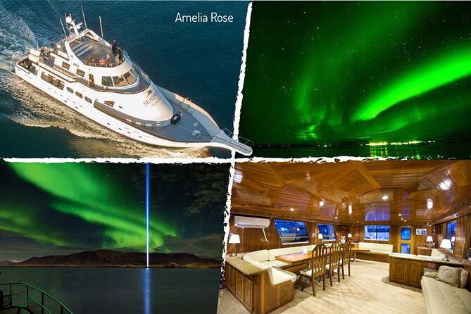 Northern Lights Yacht Cruise in Reykjavik - Viators Legal and Operational Info