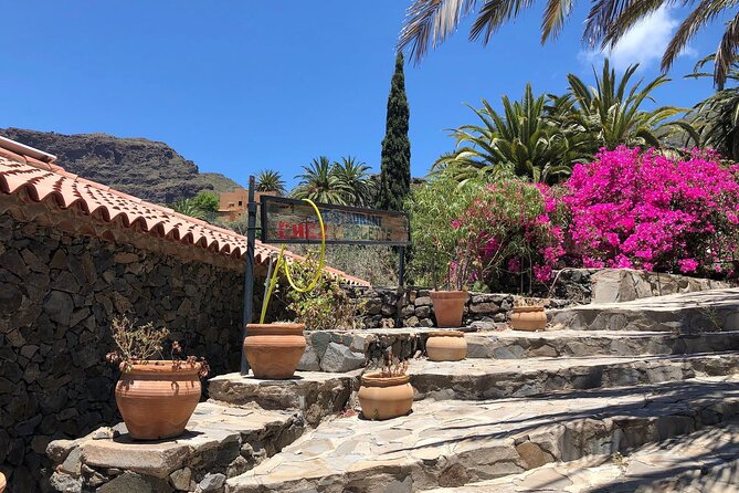 Northwest Tenerife Highlights Tour - Customer Reviews