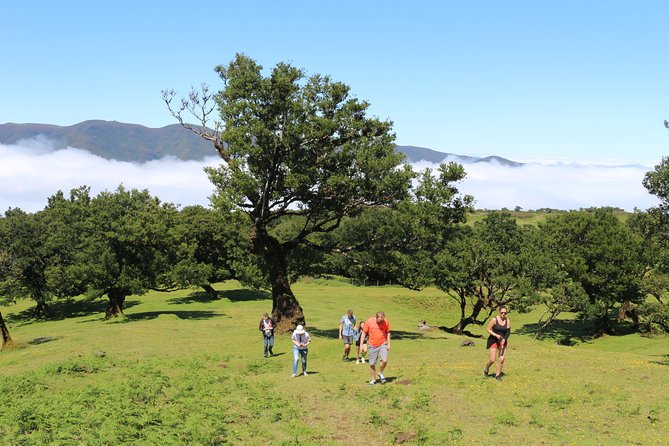 Northwest Terraces and Volcanic Pools 4x4 Full Day Tour - Cancellation Policy