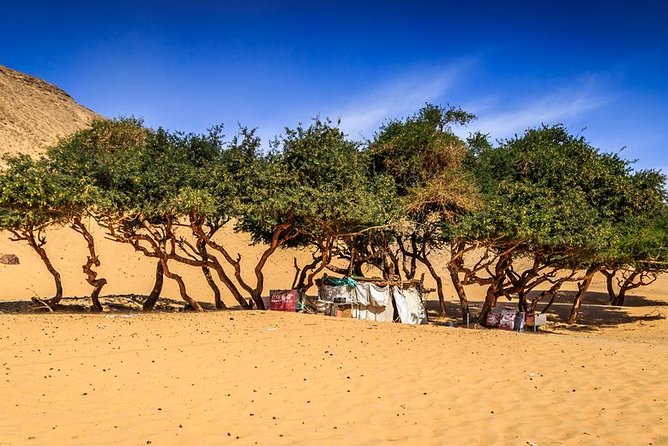 Nubian Village by Motorboat In Aswan - Additional Content and Resources