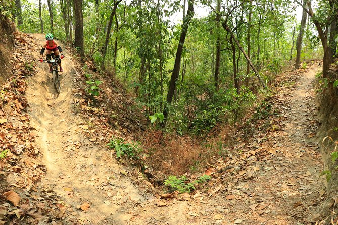 Numb Trail Mountain Biking Tour Chiang Mai - Customer Ratings and Reviews