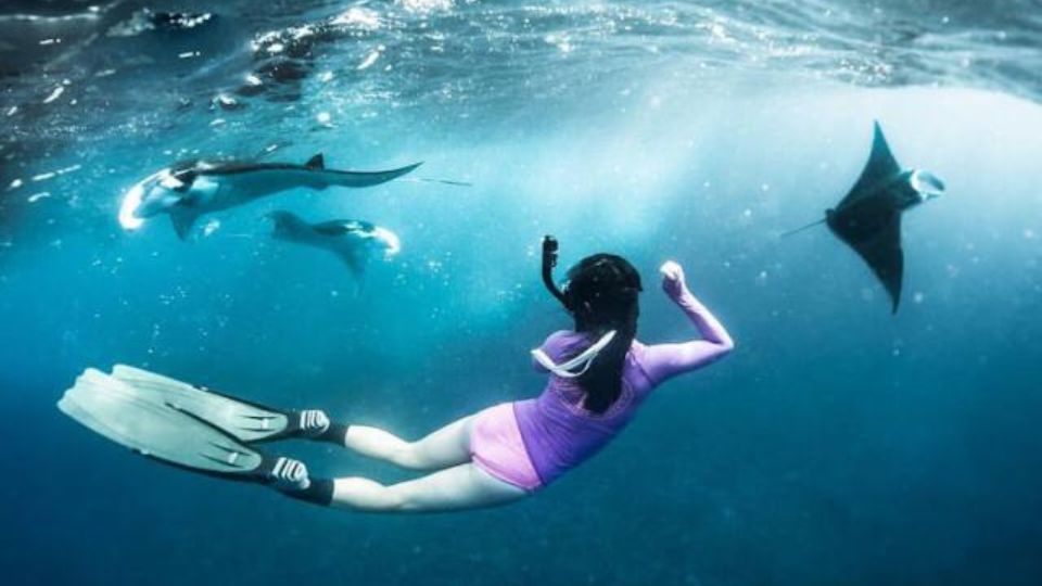 Nusa Penida: Snorkeling 3 Spots With Manta Options - Common questions