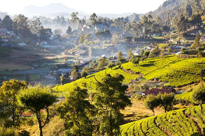 Nuwara Eliya Highlands From Kandy - Additional Resources and Support