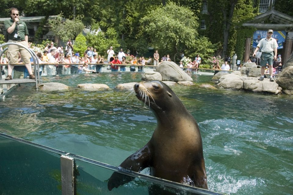 NYC: Visit Central Park Zoo & 30 Top Sights Walking Tour - Participant Information