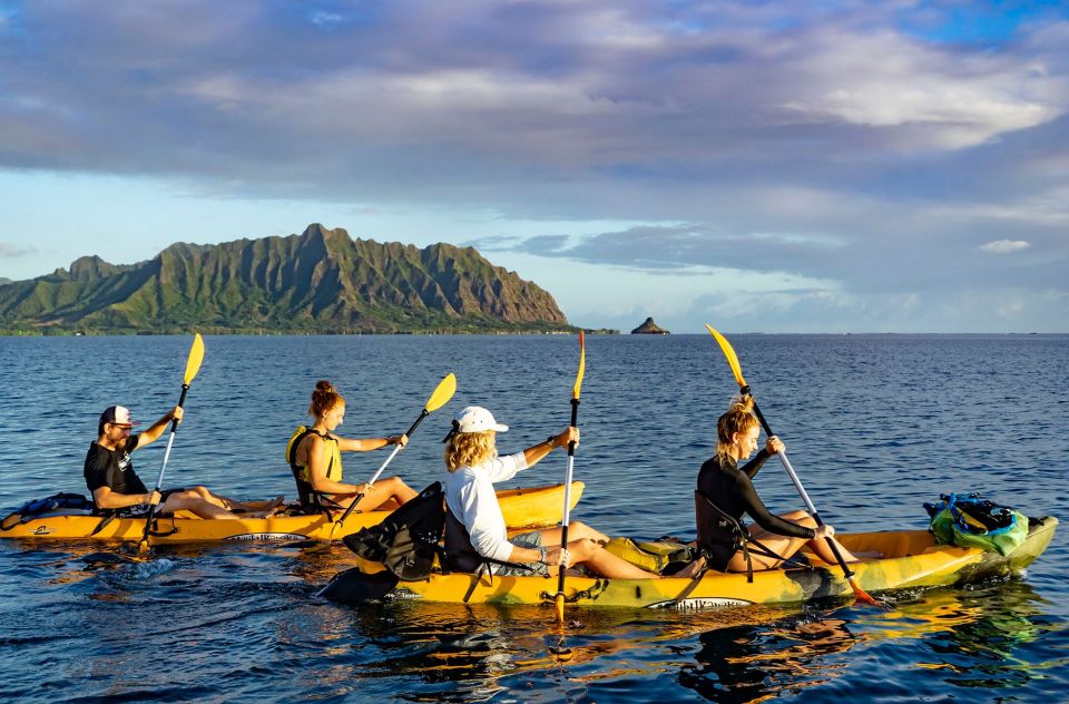 Oahu: Kaneohe Bay Coral Reef Kayaking Rental - Tips for an Enjoyable Experience