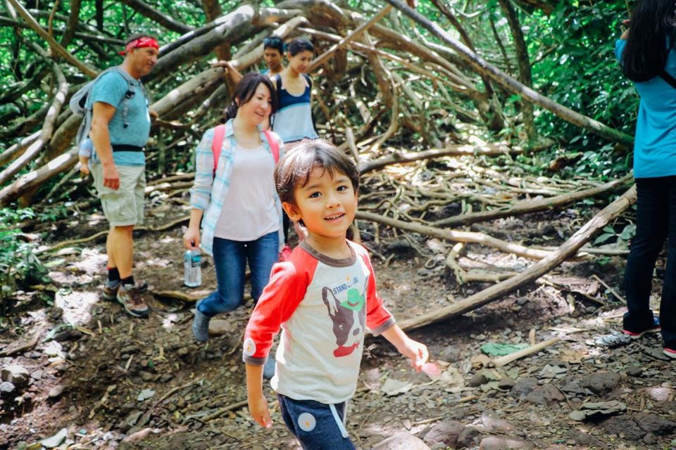 Oahu: Manoa Falls Waterfall Hike With Lunch and Transfers - Additional Information