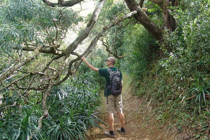 Oahu Volcanic Rainforest Hiking Adventure - Last Words