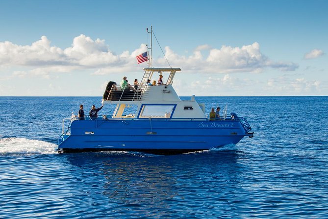 Oahu Whale-Watching Excursion - What To Expect