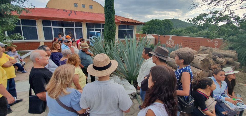 Oaxaca: Tour to Hierve El Agua and Mezcal Leaving at Noon - Customer Testimonials