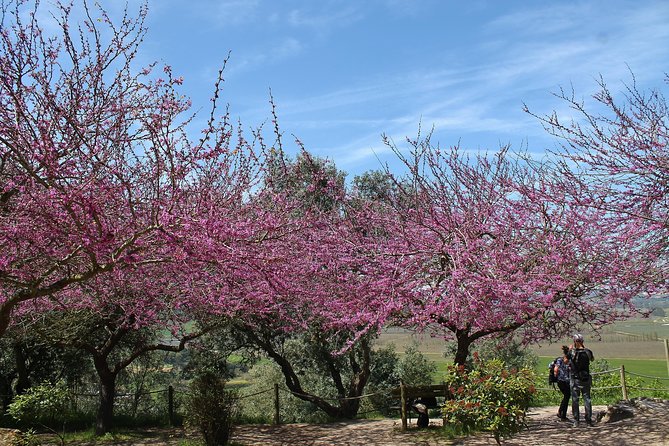 Óbidos Historic Village and Mafra Palace Private Tour - Additional Information