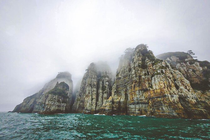 Oedo Botania Islandgeoje Panorama Cable Car From Busan - Booking Questions