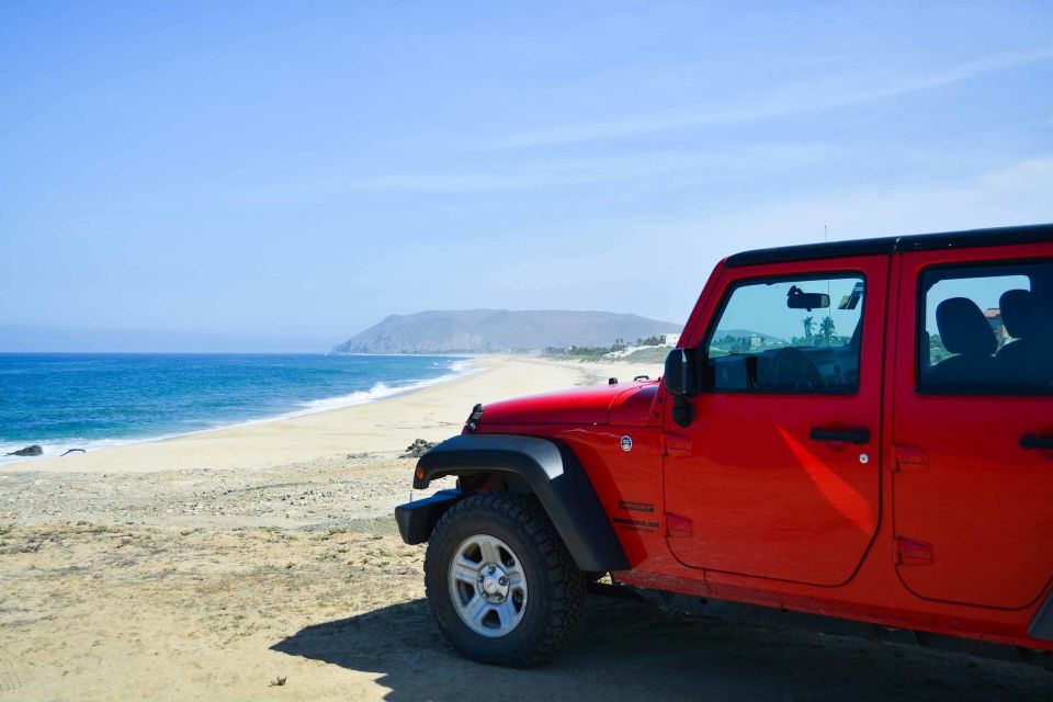 Off-Road Adventure: All-Day Jeep Expedition in Todos Santos - Additional Information