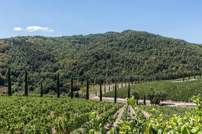 Off Road Wine Tour in Chianti From Florence - Tour Itinerary