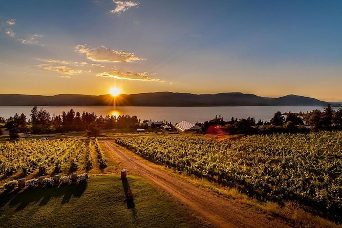 Okanagan Deluxe Wine Toasting Tour - Additional Information