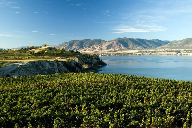Okanagan Falls Wine Experience From Vernon - 4 Wineries - Common questions