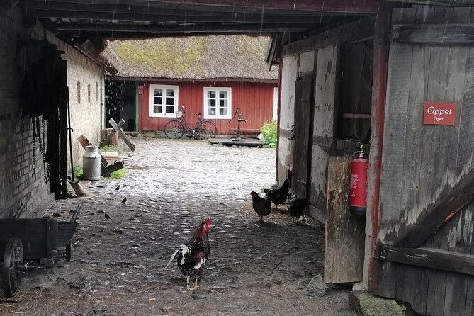 Old Sweden, the Way We Were, a Guided Tour of Skansen, Stockholm - Immerse Yourself in Old Sweden