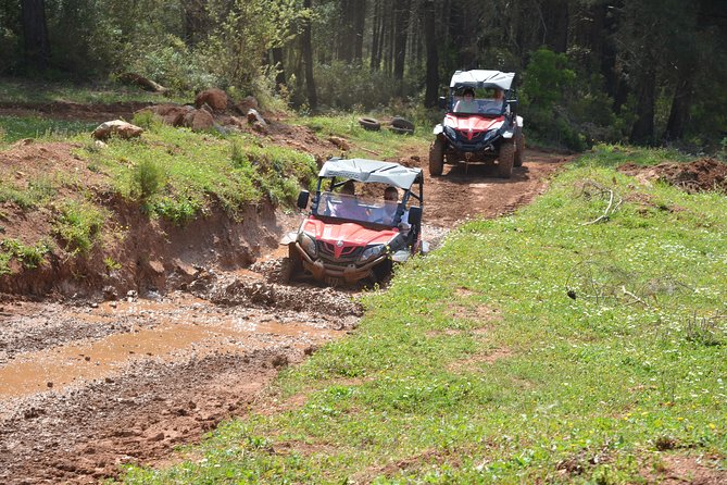 Oludeniz Forest & Beach Buggy Excursion From Fethiye - Support Information