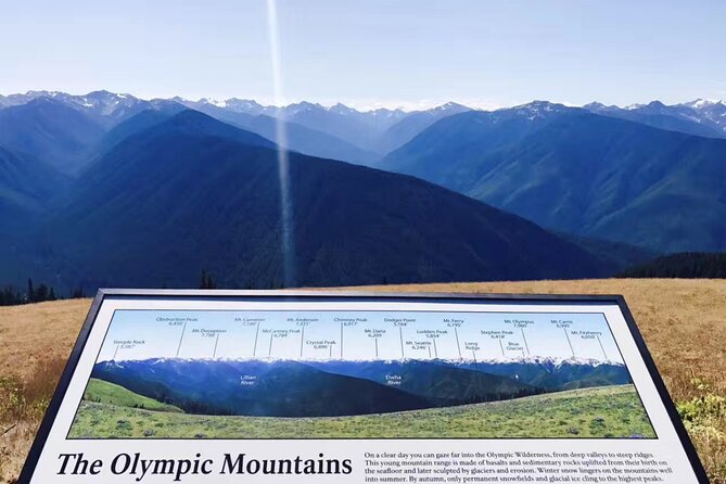 Olympic National Park Day Tour From Seattle - Customer Experiences