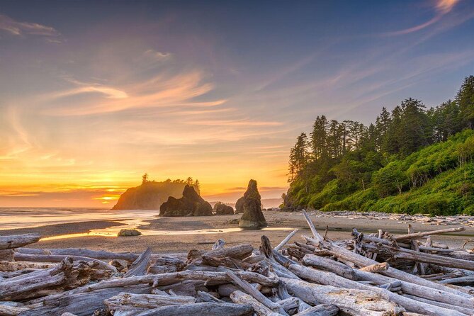 Olympic National Park Luxury Small-Group Day Tour With Lunch - Additional Information