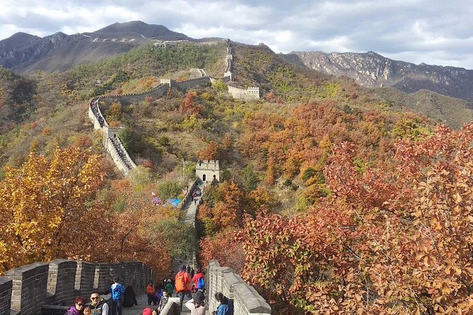 One Day Group Tour of Mutianyu Great Wall in Beijing - Reviews