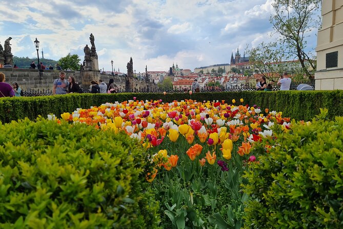 One-Day Private Guided Sightseeing Prague Tour - Important Details