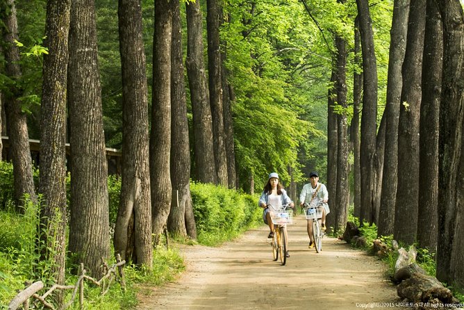 One Day Private Tour-Nami Island, Petite and Garden of Morning Calm(Incl. Lunch) - Customer Reviews