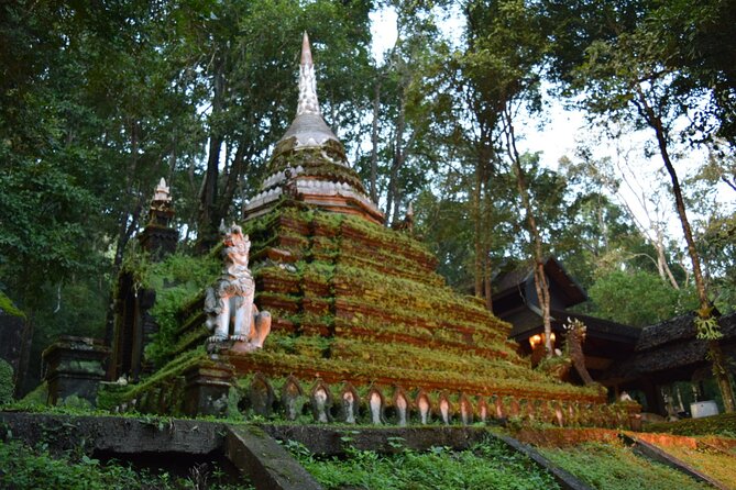 One Day Tour Doi Suthep Temple, Palad Temple, Orchid Farm, Longneck Hill Tribe Village (Private Tour - Pricing Details