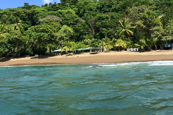 One Day Tour To Corcovado From Sierpe - Additional Information