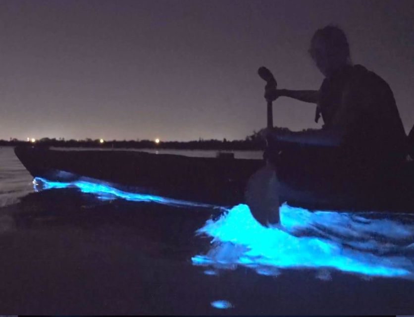 Orlando: Bioluminescence Clear Kayak Or Paddleboard Tour - Important Information