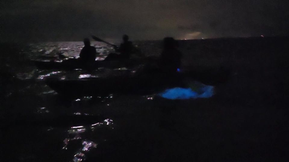 Orlando: Bioluminescence Kayak and Swim Adventure - Booking Information