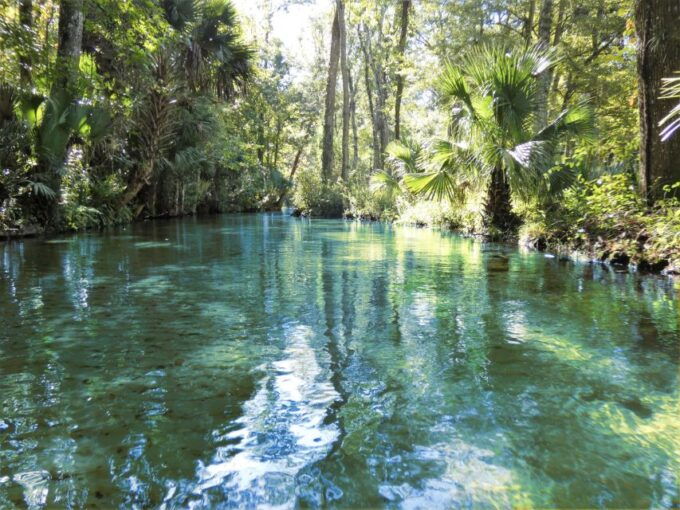 Orlando: Small Group Rock Springs Run Kayak Tour - Important Information